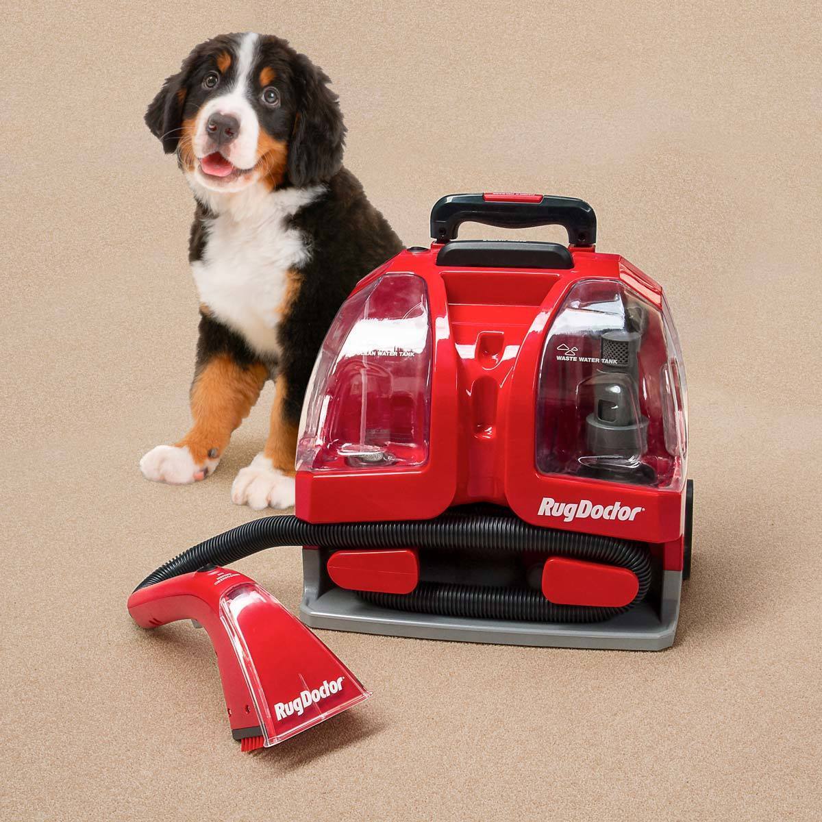 Rug Doctor Portable Spot Carpet Cleaner with 2 x 500ml Spot Cleaning Solution