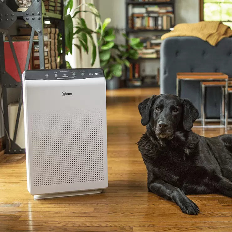 Winix Zero Air Purifier