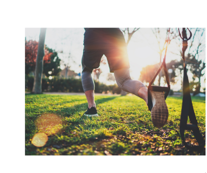 ZP1 Pro3 Suspension Trainer - Signature Retail Stores