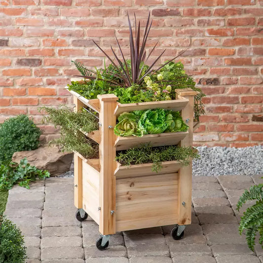 Evergreen 83 cm Raised Wooden Planter