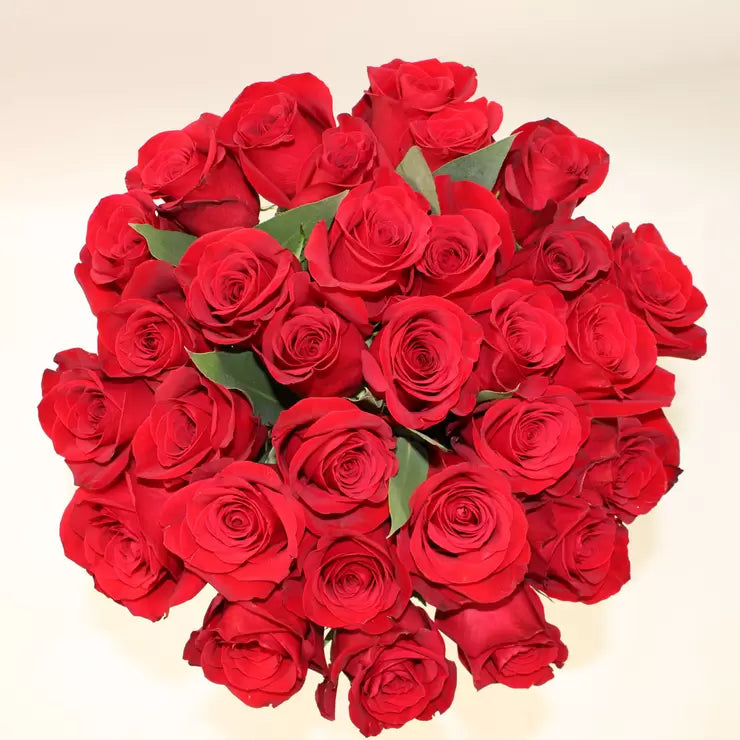 Valentine's 30 Stem Freedom Red Roses Flower Bouquet